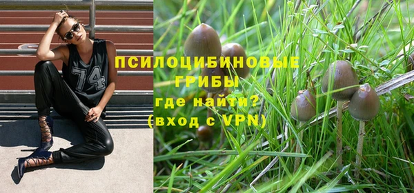твердый Абинск
