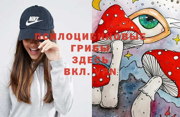 эйфоретик Сафоново