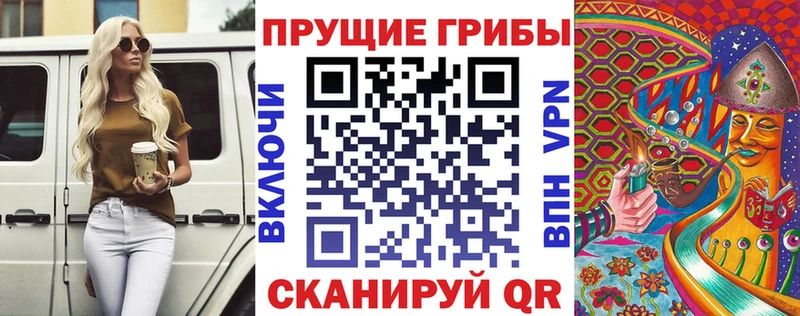 наркошоп  Беломорск  МЕГА ONION  Псилоцибиновые грибы Psilocybine cubensis 